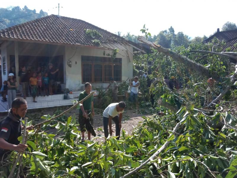 Hujan Dan Angin Kencang Di Karangasem, Rumah Warga Tertimpa Pohon ...